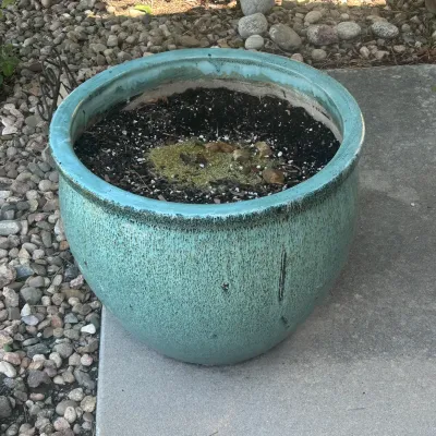 Sale Photo Thumbnail #34: G outdoor pots1