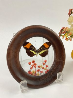 Sale Photo Thumbnail #331