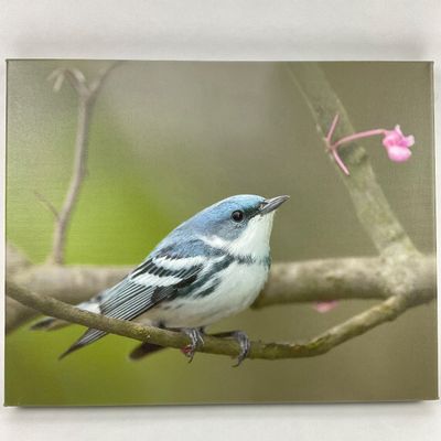 Sale Photo Thumbnail #319
