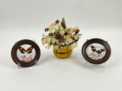 Sale Photo Thumbnail #330