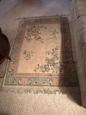 100% New Zealand Wool Floral Area Rug – 4' x 6' (A Den)