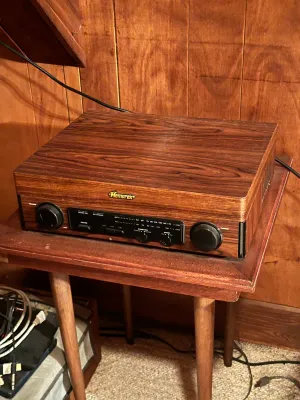 Memorex Record Player & AM/FM Stereo Radio – Wood-Grain Cabinet (A Den)