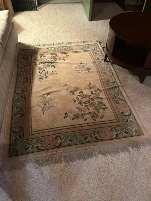 100% New Zealand Wool Floral Area Rug – 4' x 6' (A Den)