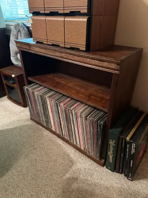 Wooden Media Storage Cabinet with Adjustable Shelf