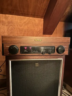 Memorex Record Player & AM/FM Stereo Radio – Wood-Grain Cabinet (A Den)