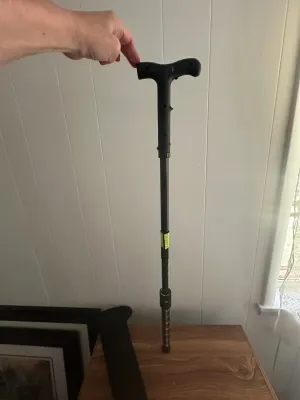 ZAP Electric Stun Walking Cane with Flashlight & Carrying Case