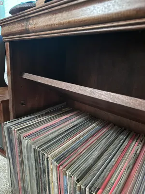 Wooden Media Storage Cabinet with Adjustable Shelf