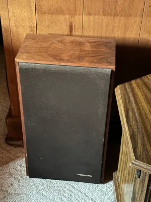 Realistic Speaker Pair – Oiled Walnut Veneer Cabinets – Untested (A Den)