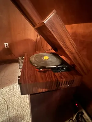 Memorex Record Player & AM/FM Stereo Radio – Wood-Grain Cabinet (A Den)