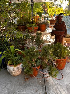 Sale Photo Thumbnail #713