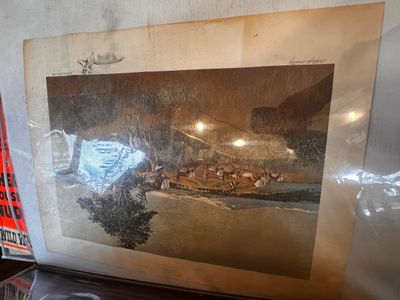 Sale Photo Thumbnail #347