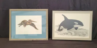 Orcinus orca and brown pelican numbered prints signed by artists