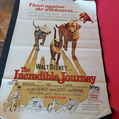 The incredible journey movie poster 1963