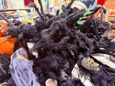 Sale Photo Thumbnail #191