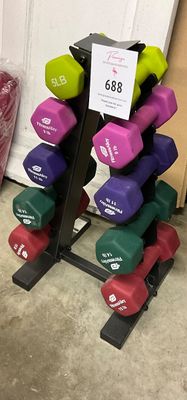 Fitness Alley Hand Weights & Stand