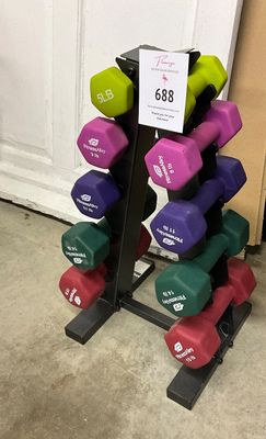Fitness Alley Hand Weights & Stand