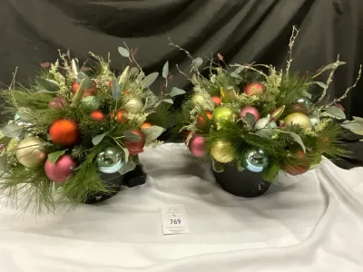 Pair of Matching, Planter Box, Bulbs/Greens Arrangements