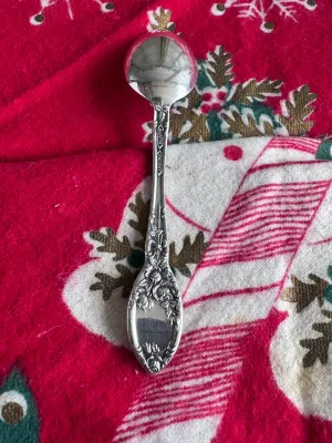 Alvin Sterling Silver Spoon in "Raphael" Pattern