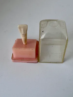 Vintage Columbia Dentoform Anatomical Tooth Model with Case