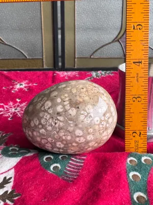 Polished Fossilized Coral Egg Figurine
