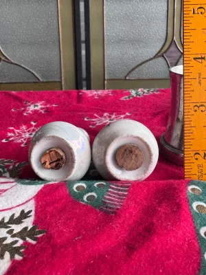 Vintage Hand-Painted Porcelain Floral Salt and Pepper Shakers