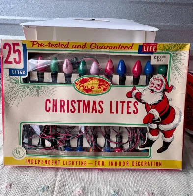 Vintage World Wide Christmas Lites 25 Light Indoor Set