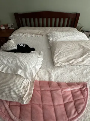 Wooden Queen Bed Frame with Slatted Headboard / Like new Sealy Mattress & Box