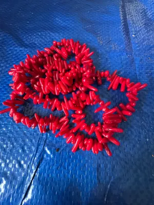 Vintage Red Branch Coral Necklace