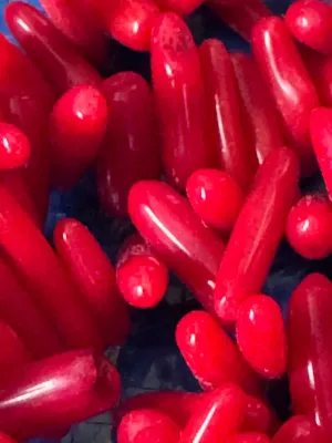 Vintage Red Branch Coral Necklace