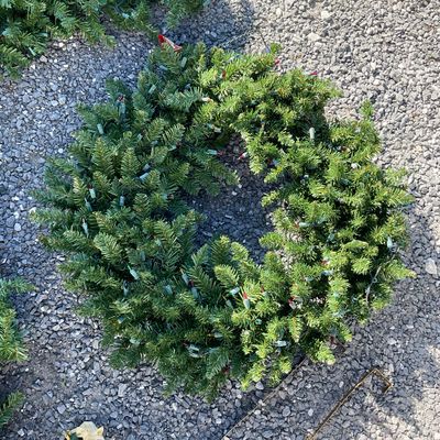 Pre-Lit Artificial Christmas Garland, Wreath, and Hangers Set