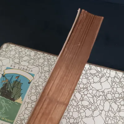 LOT 205: Sir Walter Scott Poetry with Bamboo Pattern Leather Cover, Classic Poems Circa 1908 & The Poems of Adelaide A Procter 1881