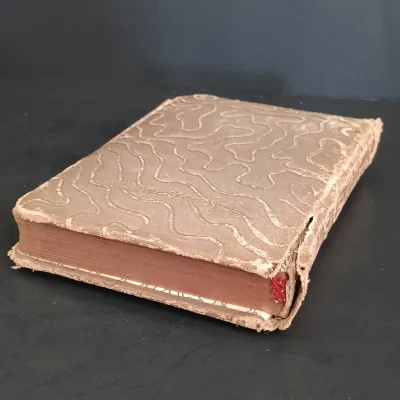 LOT 205: Sir Walter Scott Poetry with Bamboo Pattern Leather Cover, Classic Poems Circa 1908 & The Poems of Adelaide A Procter 1881