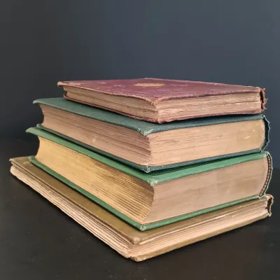 LOT 207: Collection of Antique Books: Li"l" Gal by Paul L Dunbar, The Castle & The Cottage by E. Perring, Songs of Sierra...