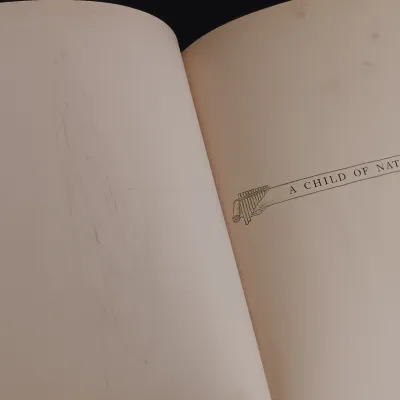 LOT 209: Antique Book Lot featuring The Good Neighbor, The Old Book: How it Came & How to Use It, Lame Sam & Others
