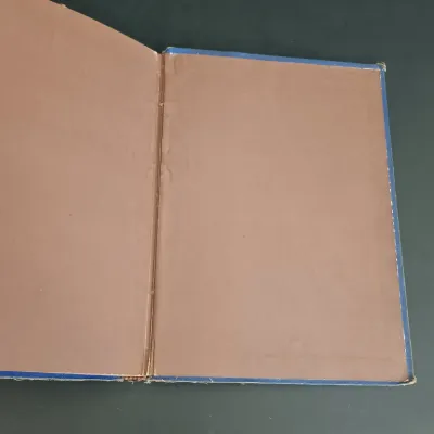 LOT 210: Antique Book Lot featuring City Festivals, Farm Ballads, The Book of Gold & More