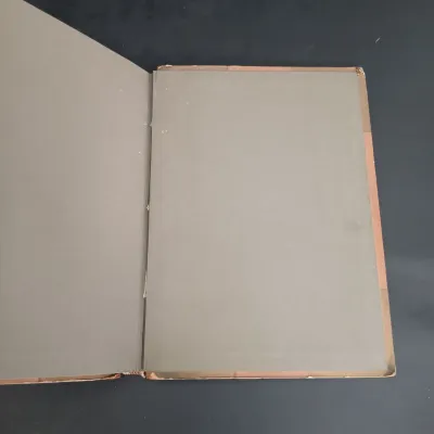 LOT 210: Antique Book Lot featuring City Festivals, Farm Ballads, The Book of Gold & More