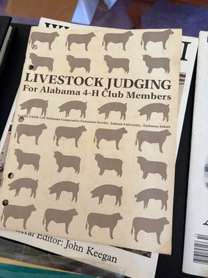 Sale Photo Thumbnail #35