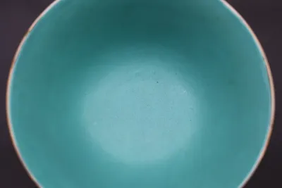 Chinese Coral-Ground Famille Rose Porcelain Bowl