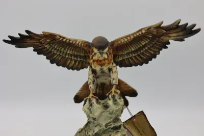 Giuseppe Armani “White Hawk” Porcelain Sculpture