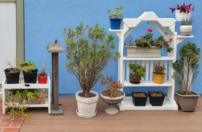 OUTDOOR POTTED PLANT (2)
