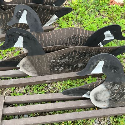 Vintage Canada Goose Silhouettes and Folding Decoy Rig System