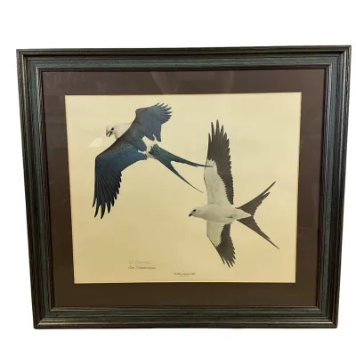 3709 William Zimmerman Signed "Swallow-tailed Kite" Framed Art Print