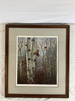 David A. Maass Signed Wildlife Print - Woodcock in Birch Forest