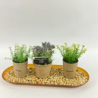 3620 Faux Potted Herbs and Plants on Pebble Tray and Set of 5 Colorful Square Ceramic Planters with Pebble Display Tray