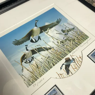 Sale Photo Thumbnail #342