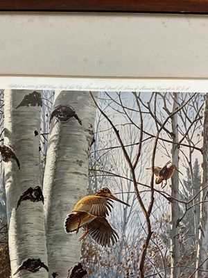 David A. Maass Signed Wildlife Print - Woodcock in Birch Forest