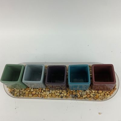 3620 Faux Potted Herbs and Plants on Pebble Tray and Set of 5 Colorful Square Ceramic Planters with Pebble Display Tray