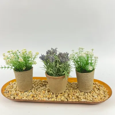 3620 Faux Potted Herbs and Plants on Pebble Tray and Set of 5 Colorful Square Ceramic Planters with Pebble Display Tray