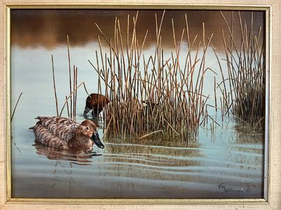 Framed Kay Williams Signed Oil Painting Canvasback Study Ducks 1990 9x12