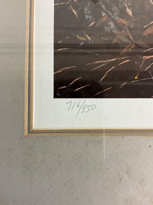 David A. Maass Signed Wildlife Print - Woodcock in Birch Forest